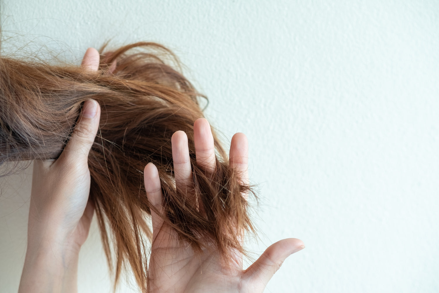 tangled hair